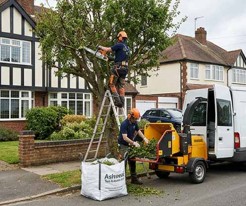 Tree trimming and maintenance